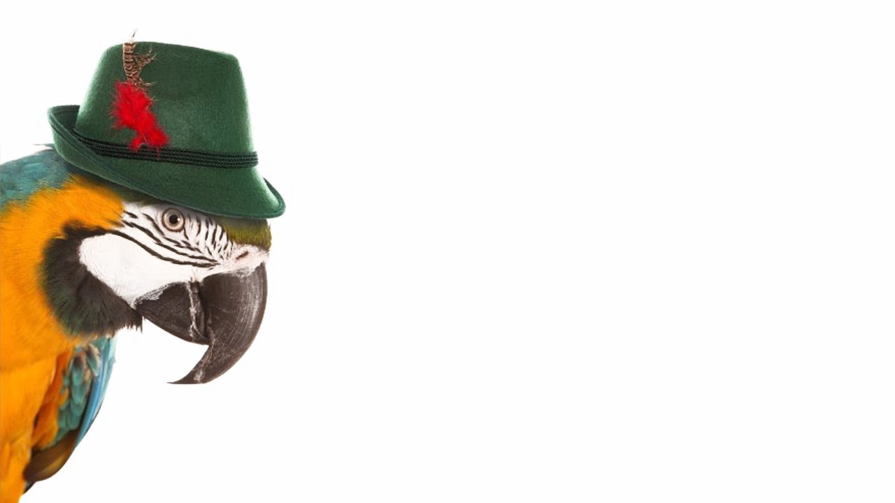 Why I no longer make Political Commentary