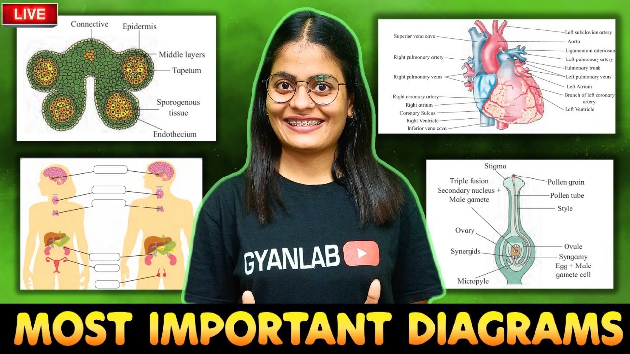 🔥Biology Most Important Diagram | BOARDS | HSC 2025 | Gyanlab | Anjali Patel