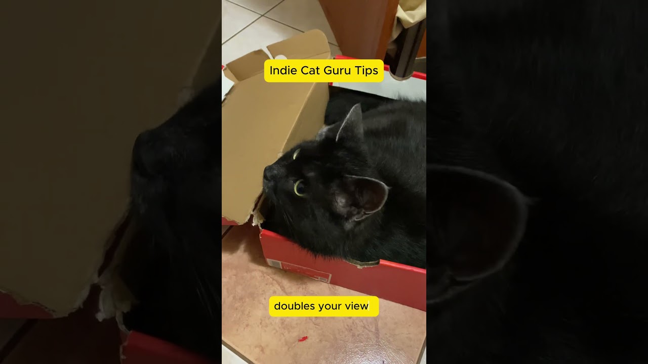 Prove me wrong #indiegamedev #gamedevblog #gamemarketing