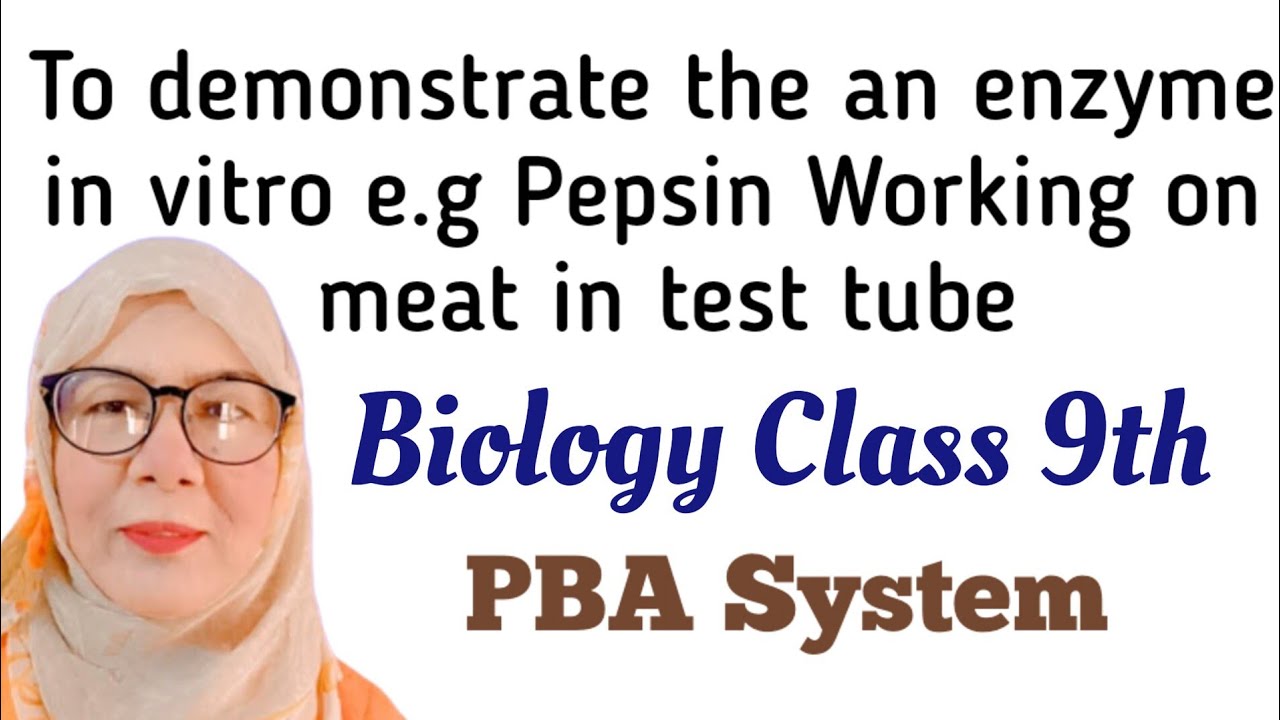 To show the working of an enzyme in vitro e.g Pepsin Working on meat in test tube|P B A|System