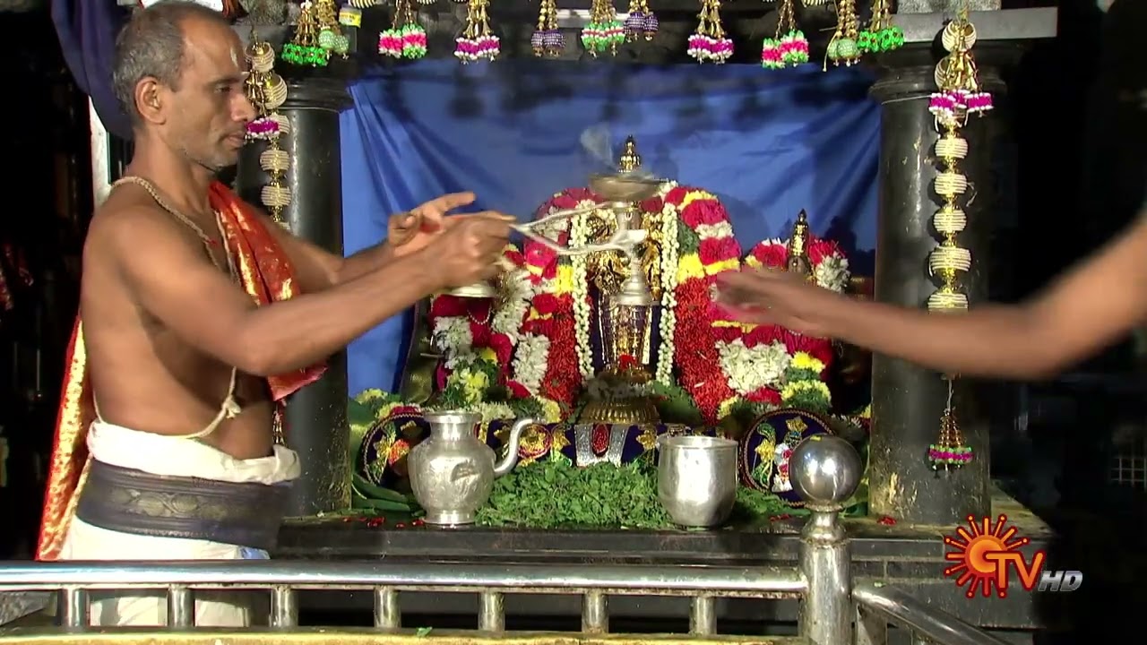 Thiruvengadamudayan Temple, Ariyakudi | Aalaya Vazhipadu  - 03 June 2023 | SunTV