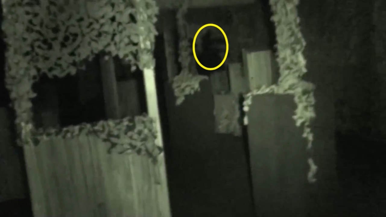 Shadow Figure Stalks Ghost Hunter In Pub