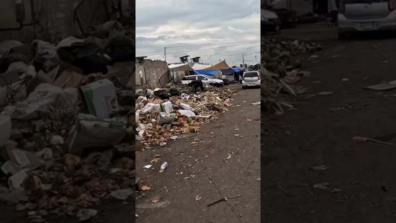 🇯🇲 What Tourists Don’t See in Jamaica | Kingston’s REAL Streets!