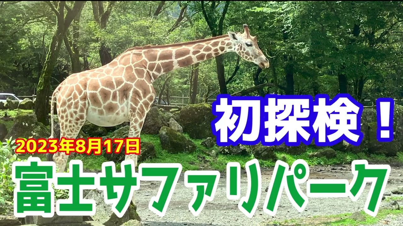 富士サファリパークへ行ってきたよ。