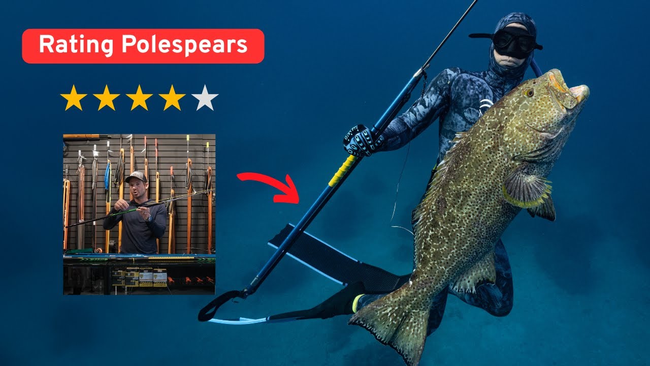 I Rated The BEST Polespears || A Buyers Guide || Polespear University