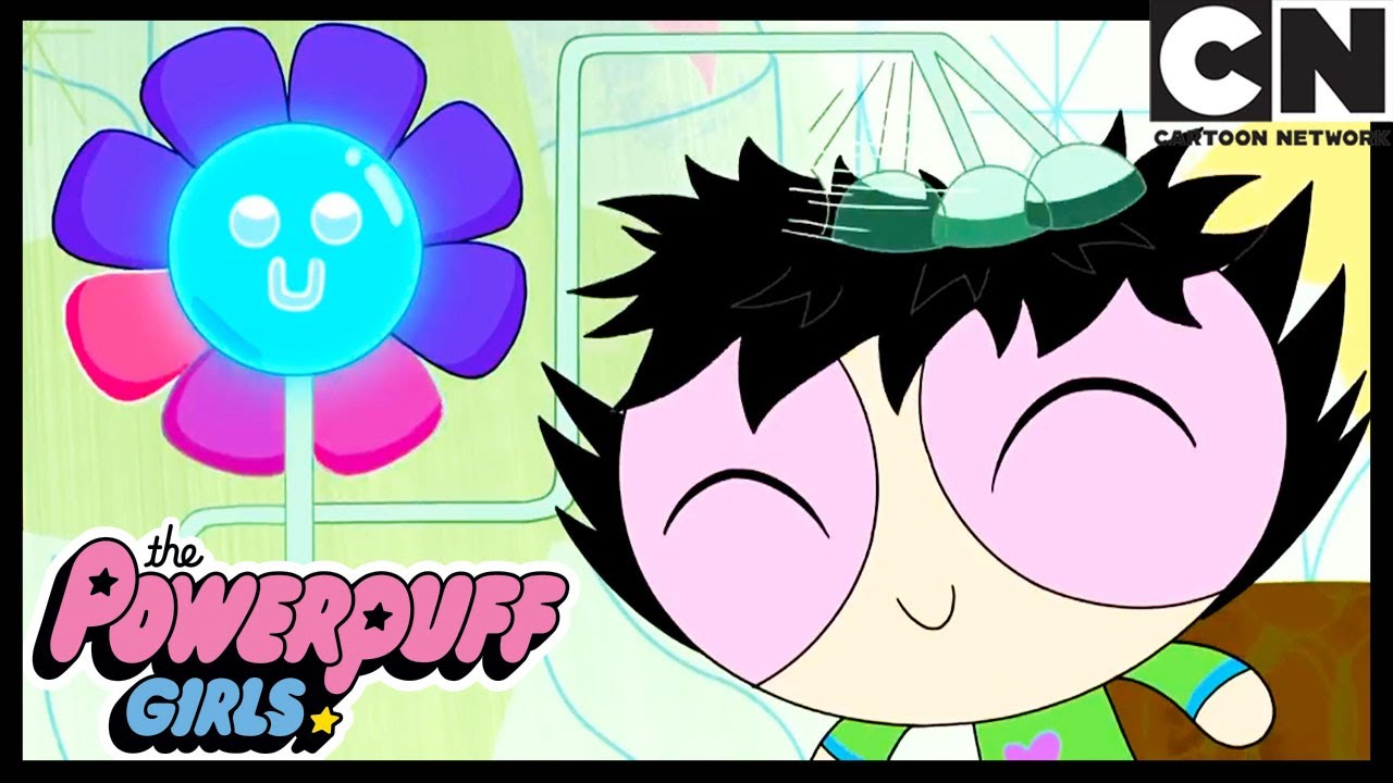 Der Heim-Assistent | Die Powerpuff Girls Deutsch | Cartoon Network