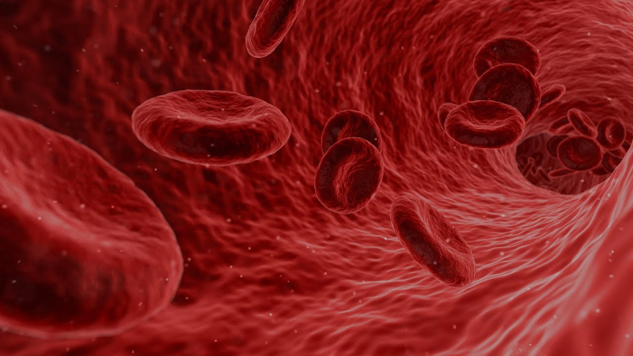 [BEMER] 🧑‍⚕️ MIKROKRĄŻENIE najważniejszy układ dla ZDROWIA i SZYBKIEJ REGENERACJI