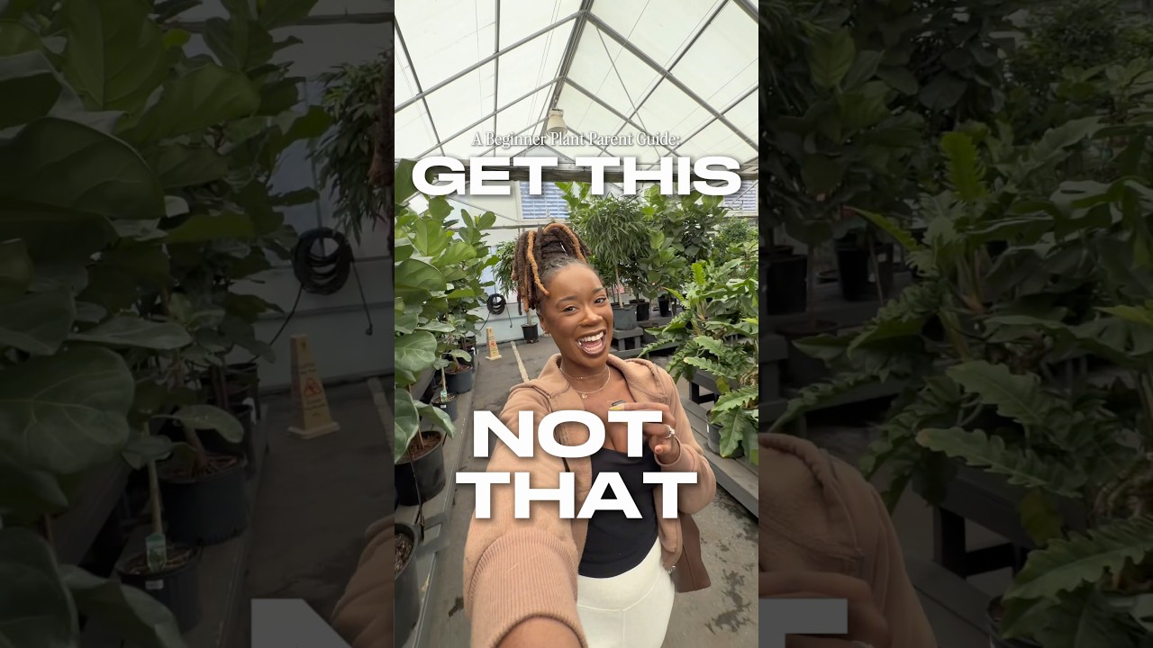 Get This, NOT THAT🪴 Houseplant Edition