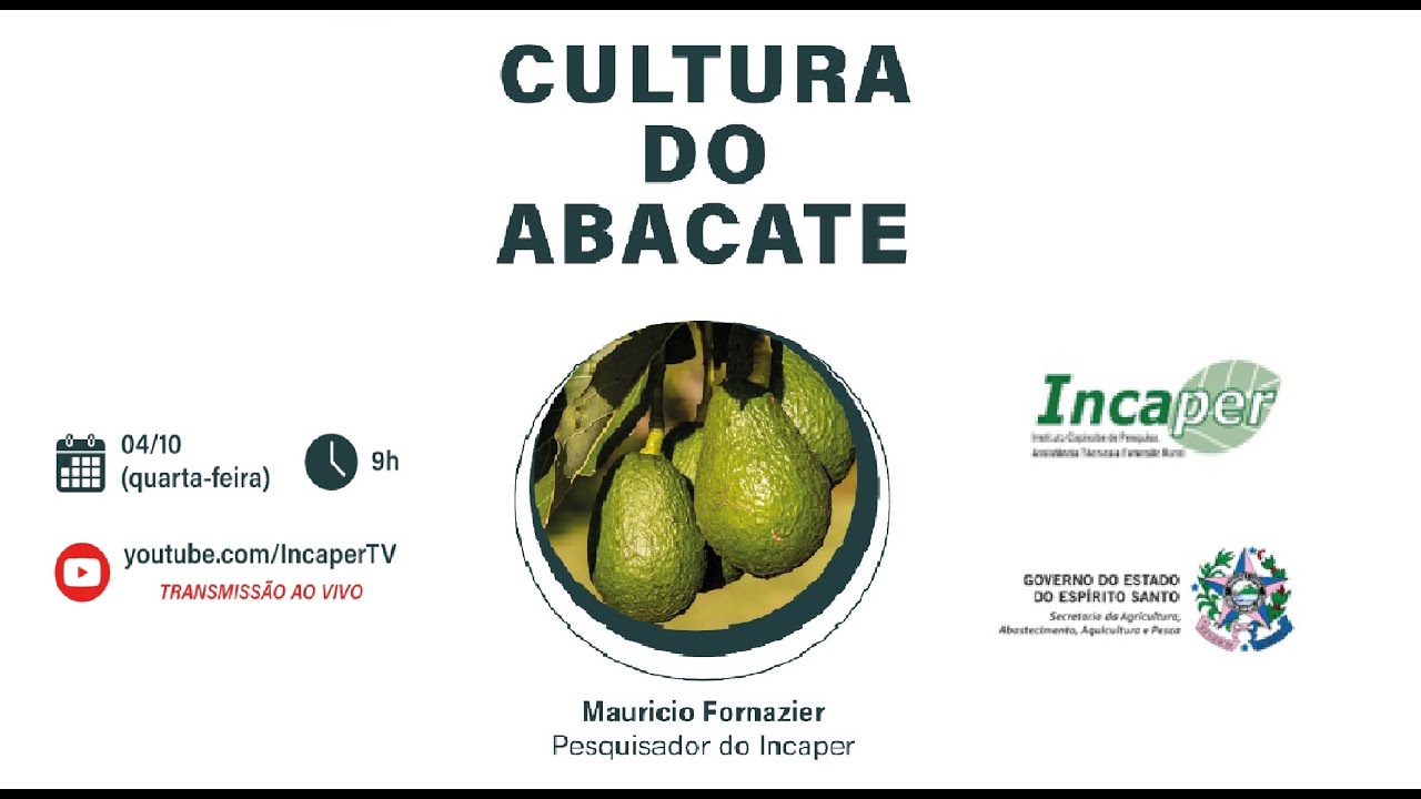 Live: Cultura do Abacate
