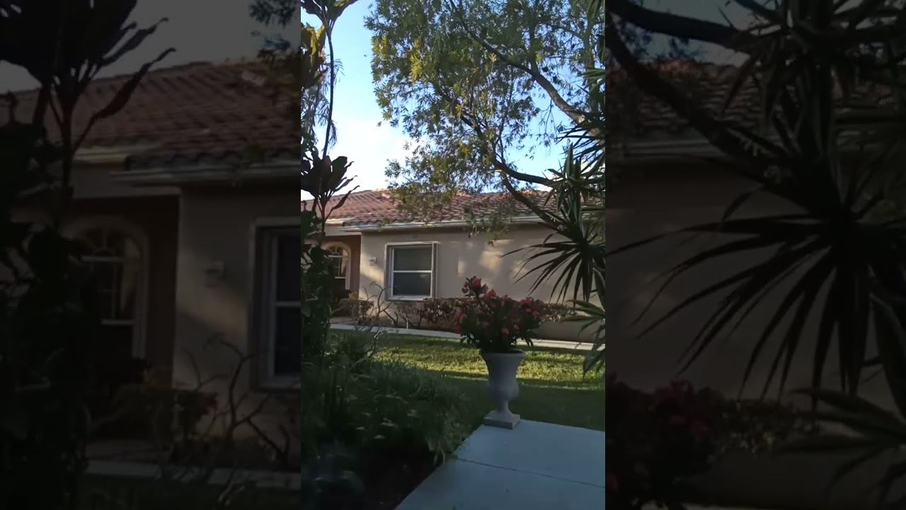 🌟 Mystery Knife 🔪 & The Canon of Ryukyu Kempo BB Guide Read 📚 Surprise and Focus by Hanshi Geraldi 🥋