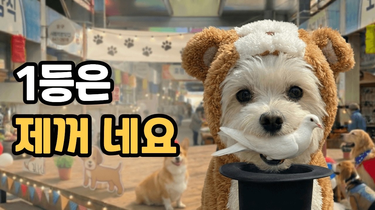 버스를 타고 어디론가 가는 강아지
