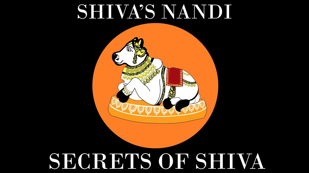 Shiva's Nandi - The meaning of the sacred bull - Secrets of Shiva - The Dharmic Perspective