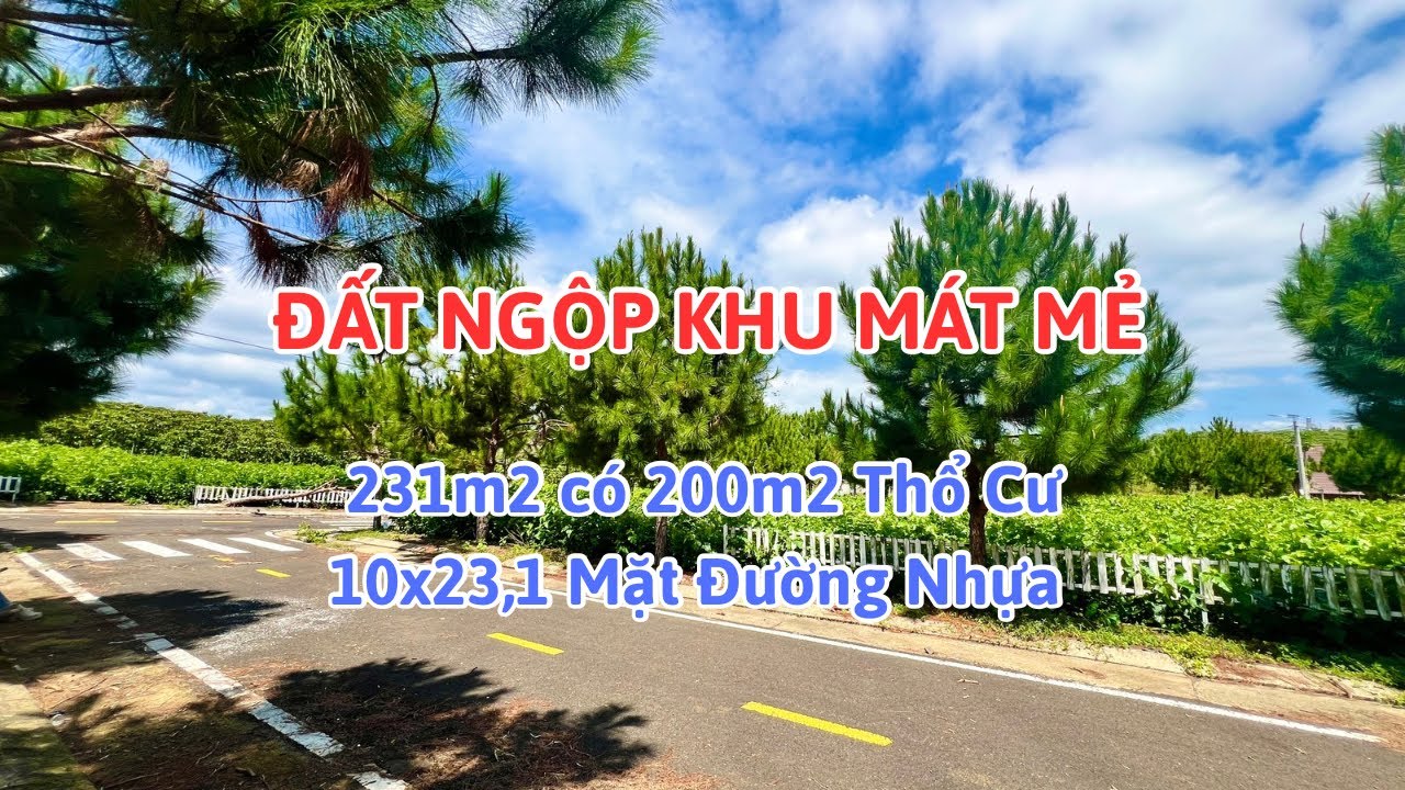 🔴(678) Chị Chủ Ngộp Quá Nên Hạ Giá Không Tưởng | Bất Động Sản Bảo Lộc