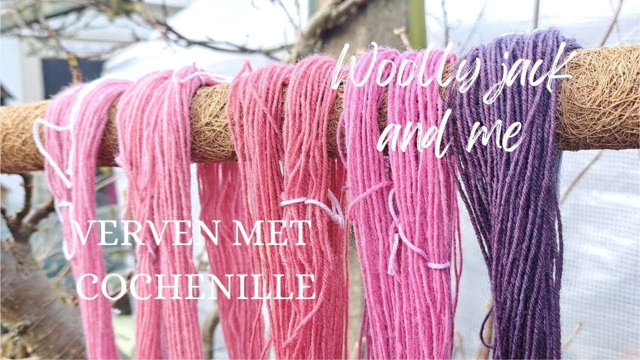 Wol verven met Cochenille, deel 52 - 2025