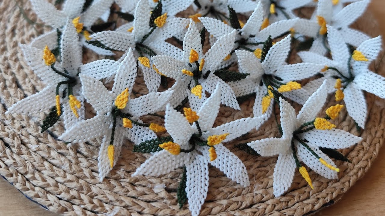 İğneoyası zambak çiçeği 