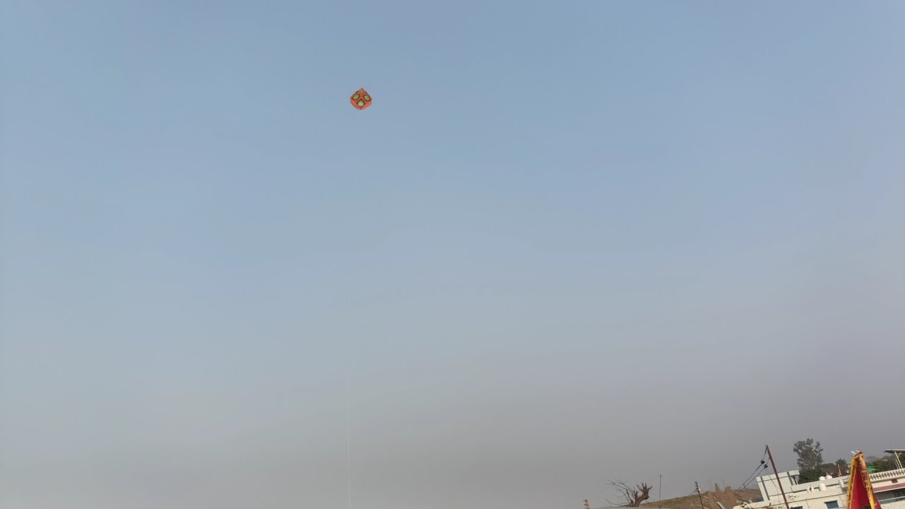 बच्चों ने नीले आसमान में उड़ाई पतंग