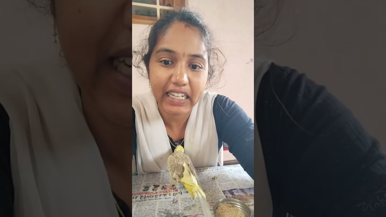 rithvi shivani 66666