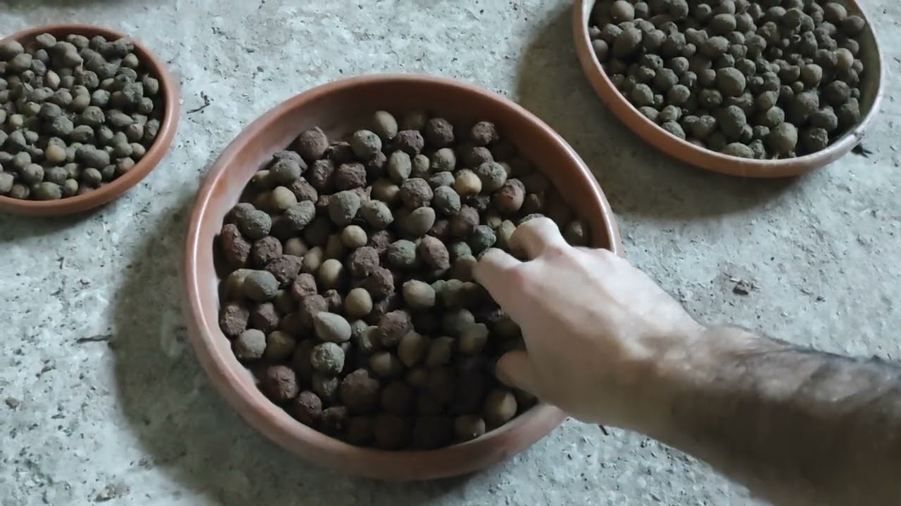 salep yumrusu soldurma işlemi