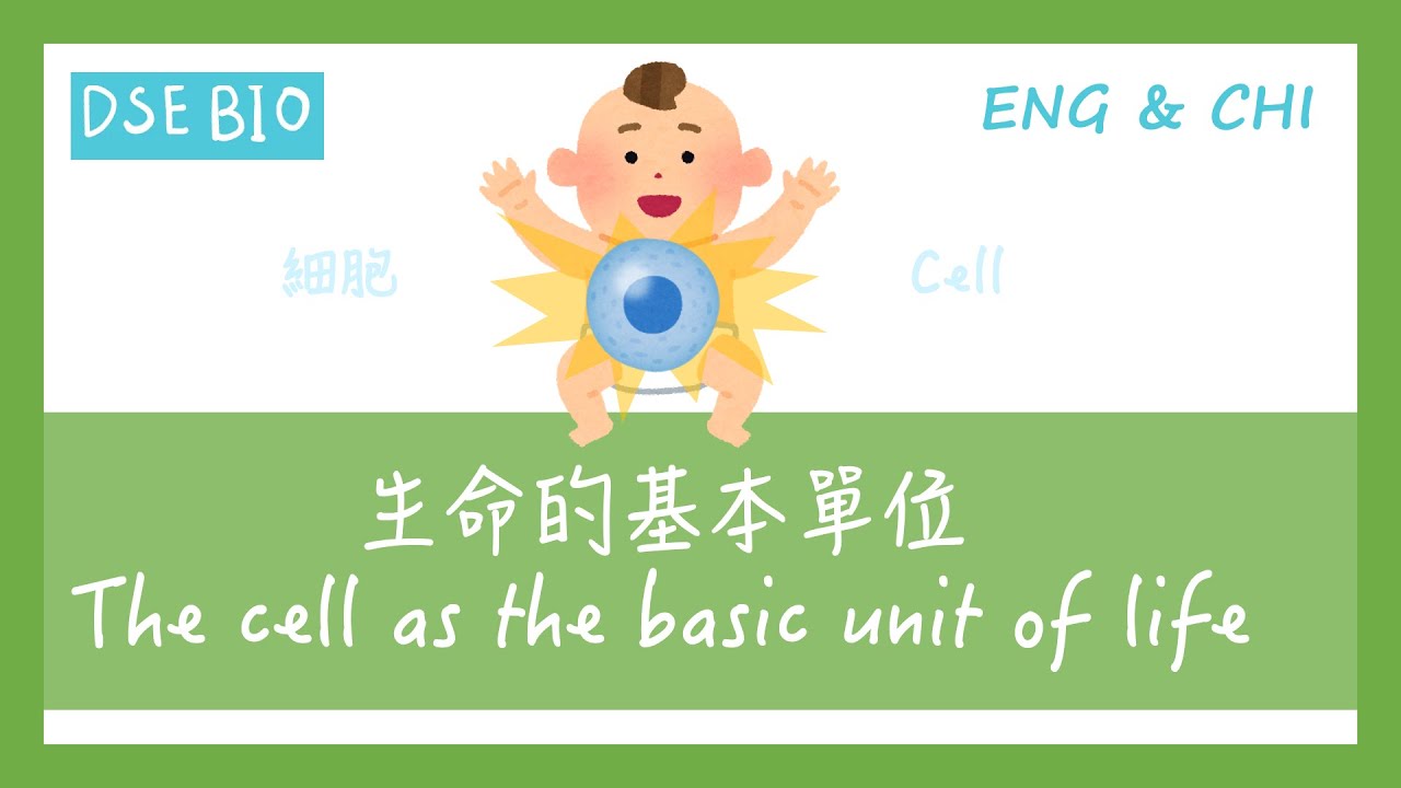 [DSE生物 - 課文重點] 18分鐘講完【生命的基本單位 The cell as the basic unit of life】！