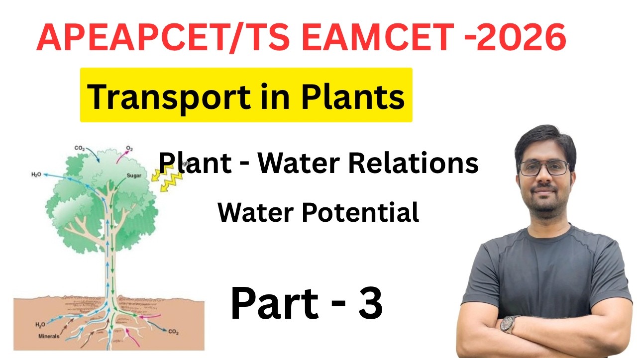 Transport in Plants Line to line Explanation || Plant Water Relations || Water Potential || Part 3