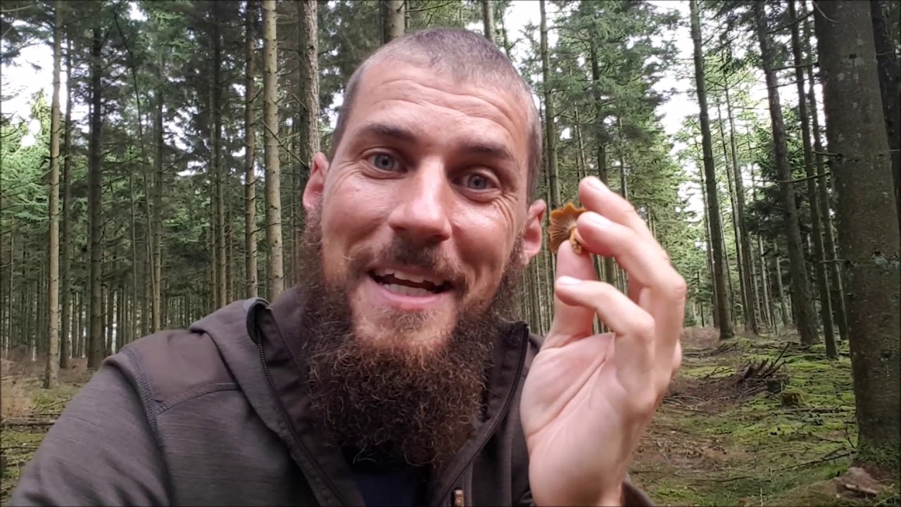 NaturNørd 47. Jagten på Kantarellerne.