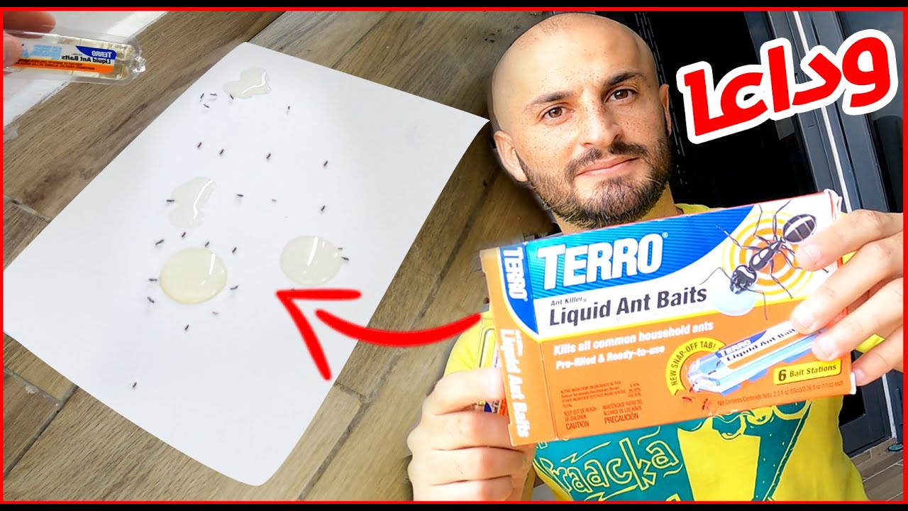 قاتل النمل الصامت 🐜 - طُعم النمل السائل TERRO T300- أفضل طريقة للتخلص من النمل