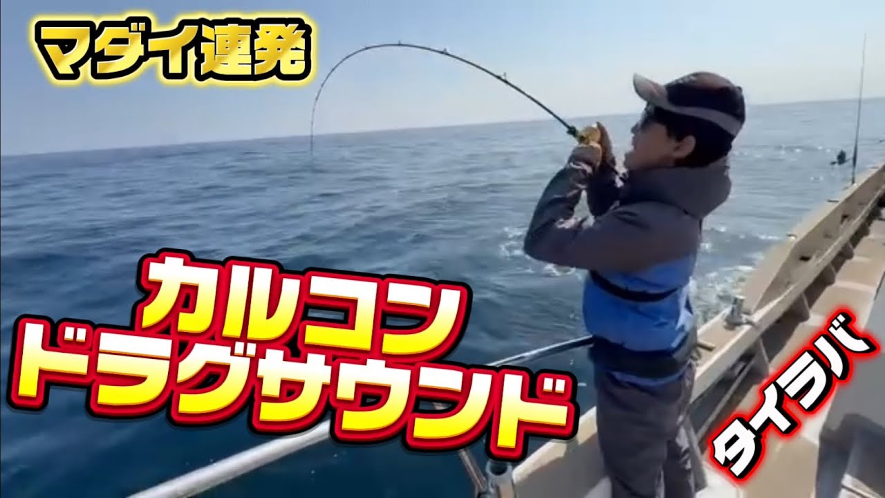 #3 2026年春のマダイ釣れ始めました‼︎  餌釣りタックルで真鯛とやりとり