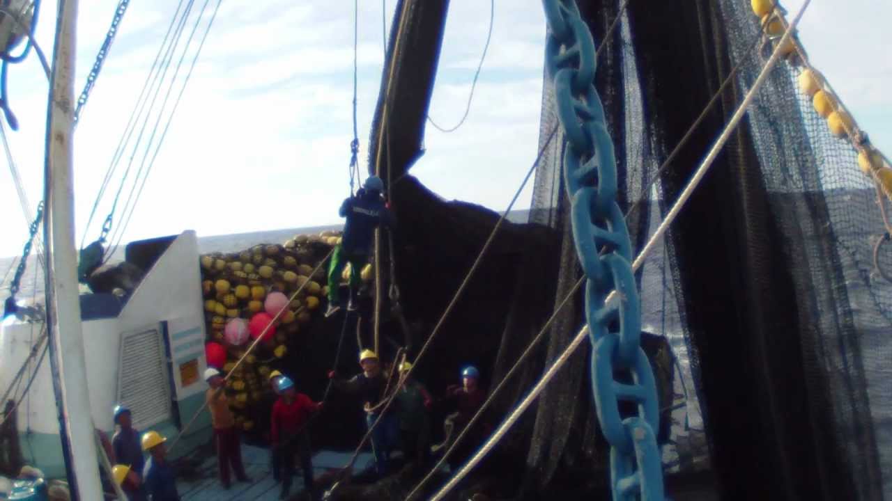 Purse Seine Fishing - Different Methods