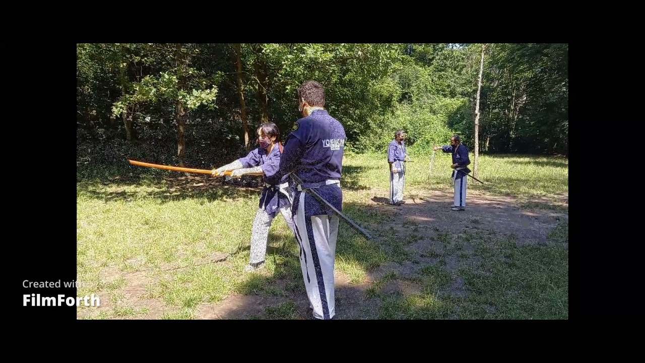 Art Martial Japonais complet Yoseikan Budo le Lion Des Neiges