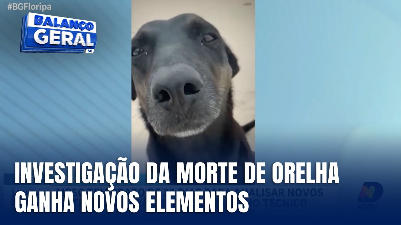 Caso Orelha: MPSC tem 30 dias para analisar novos materiais do caso