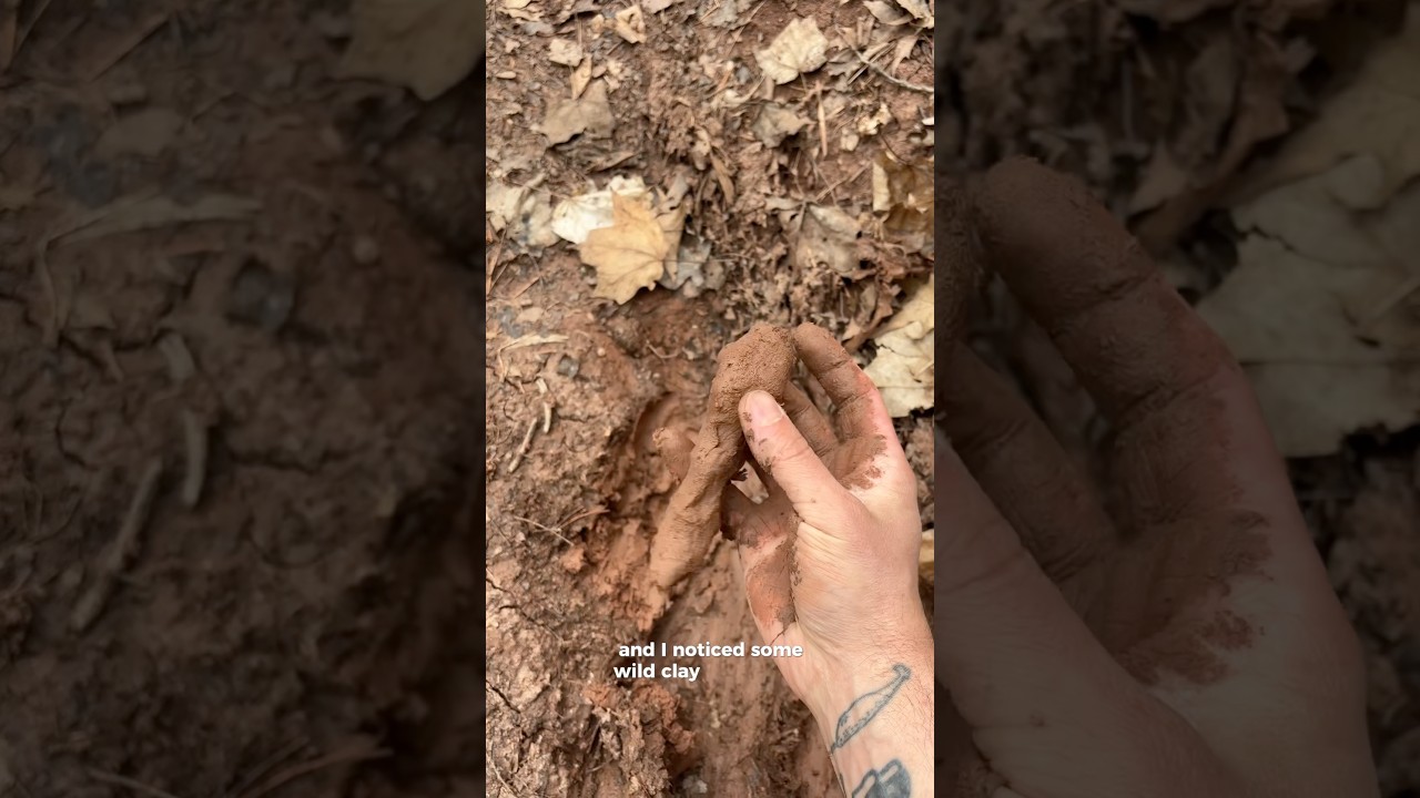 дикая глина