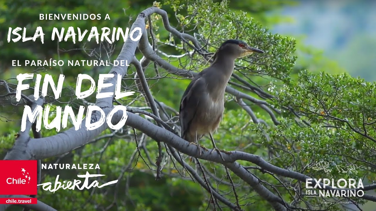 🍀En Tierra del Fuego, ISLA NAVARINO, el para&iacute;so natural del FIN DEL MUNDO 🌎