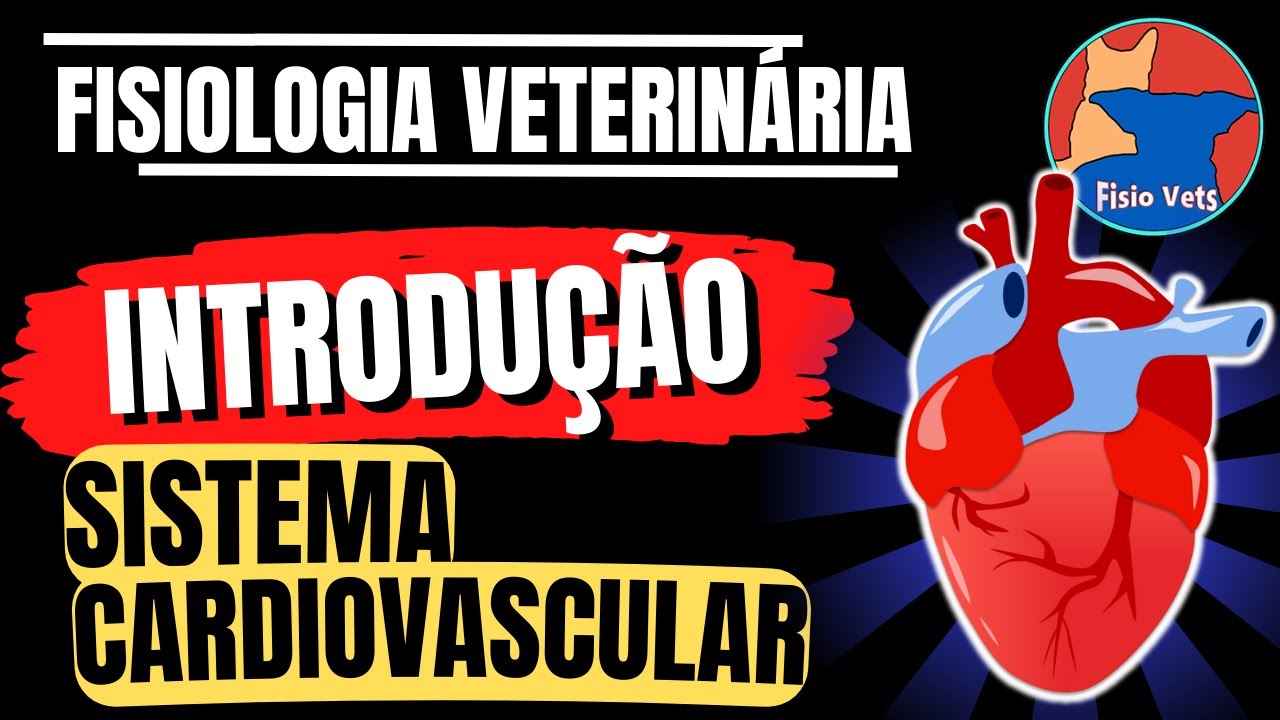 Sistema cardiovascular - Introdução - Fisiologia veterinária -  Aula 1