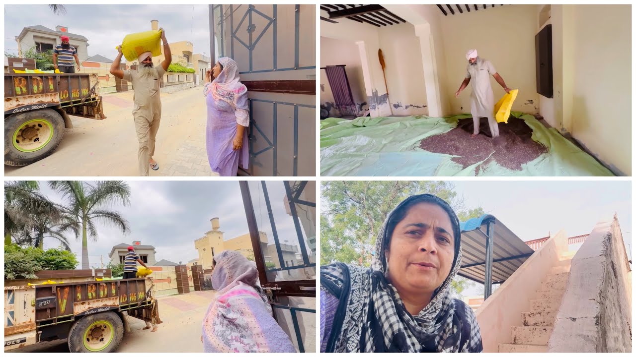 ਹਾੜੀ ਦੀ ਪਹਿਲੀ ਫਸਲ ਆਈ ਘਰ ❤️|| by Dullat family vlogs ||