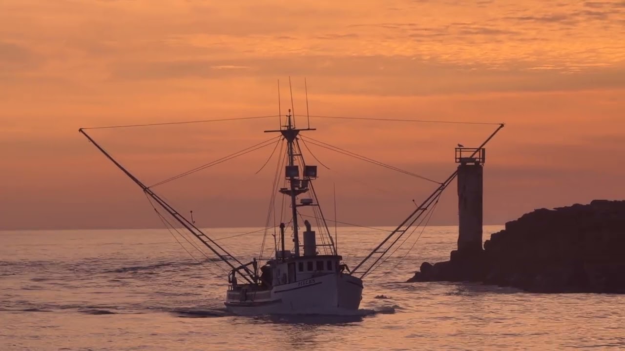 Oregon Beauty February 2026