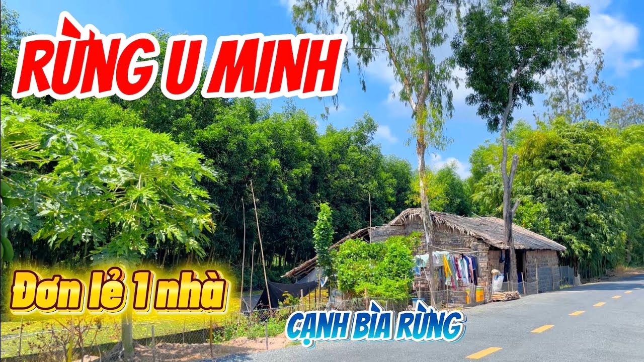 Đi cặp ven bờ rừng U MINH THƯỢNG về kinh 21 BẤT NGỜ bà con nơi đây sống mộc mạc giản dị