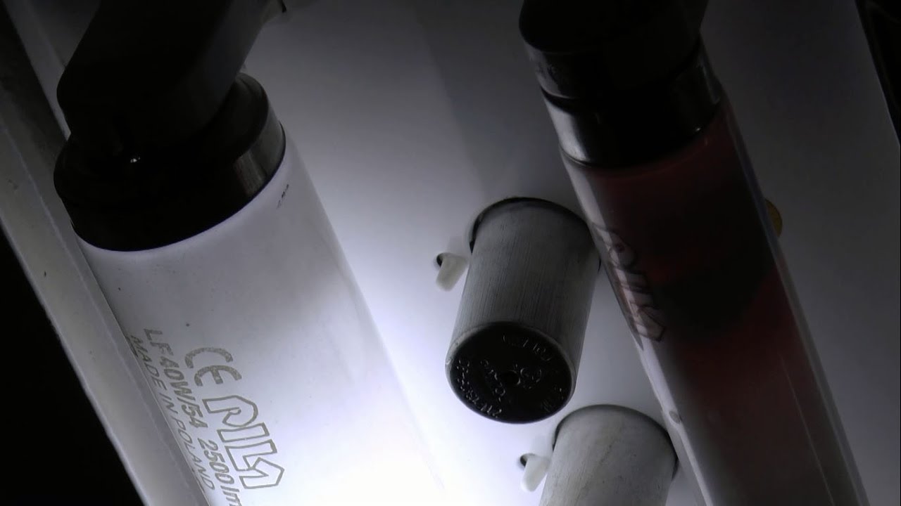 EOL-fluorescent tube burnout T8 36W