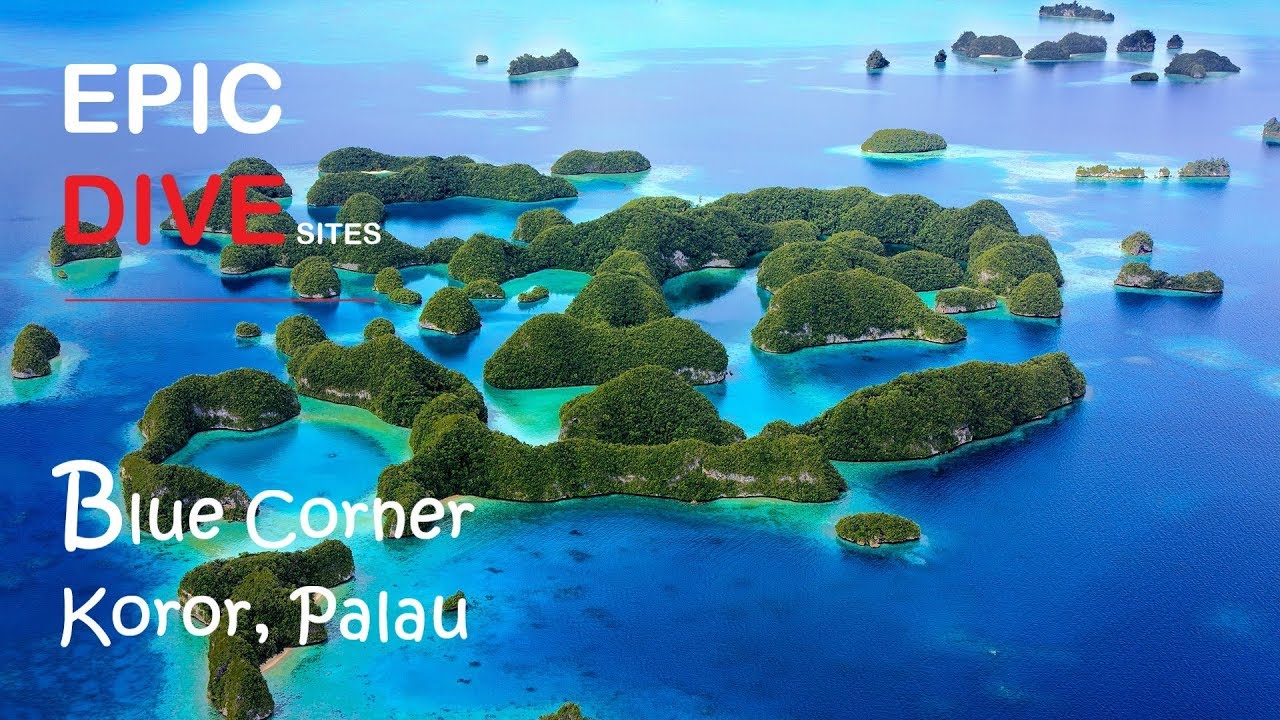 INTOXICATING SCUBA @ BLUE CORNER, PALAU | 2019 EPIC DIVE SITES