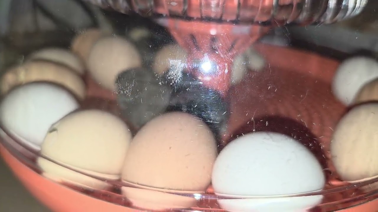 Baby Butt Nuggets!