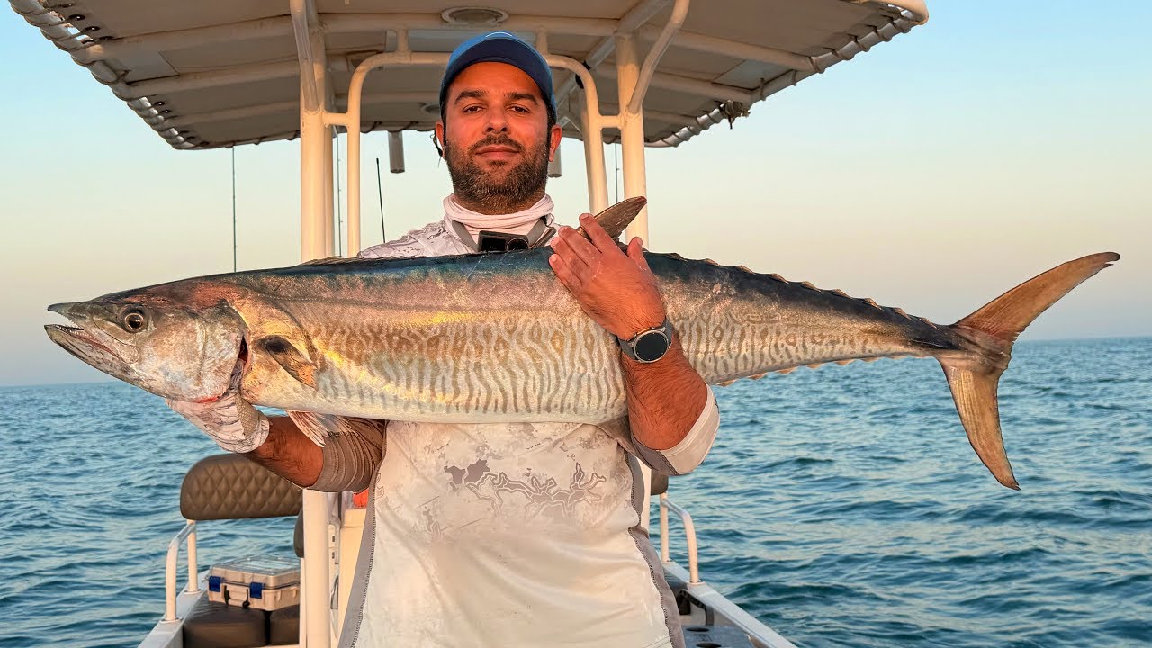 صيد كنعد عملاق في جنوب قطر Kingfish +20kg Fishing in Qatar