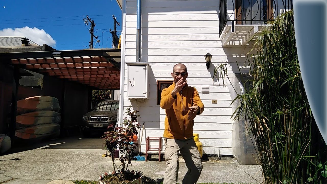 Tai - Chi Las Ocho Fuerzas