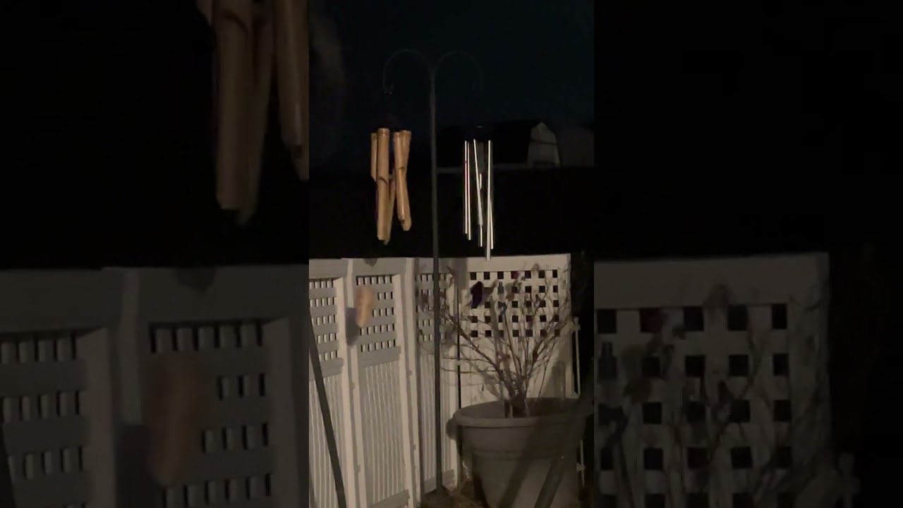 Extremely Windy Day (WIND GUSTS 40MPH) strongest wind gust at 2:25