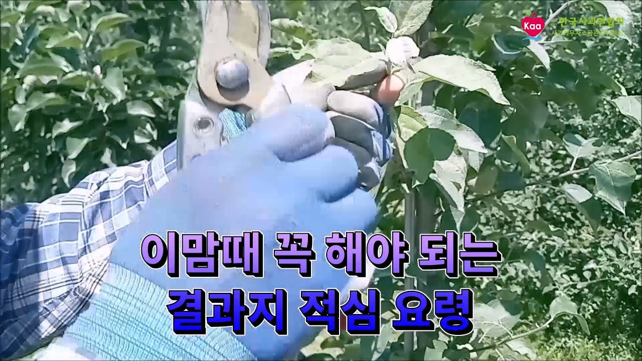 이맘때 꼭 해야 되는 결과지 적심 요령