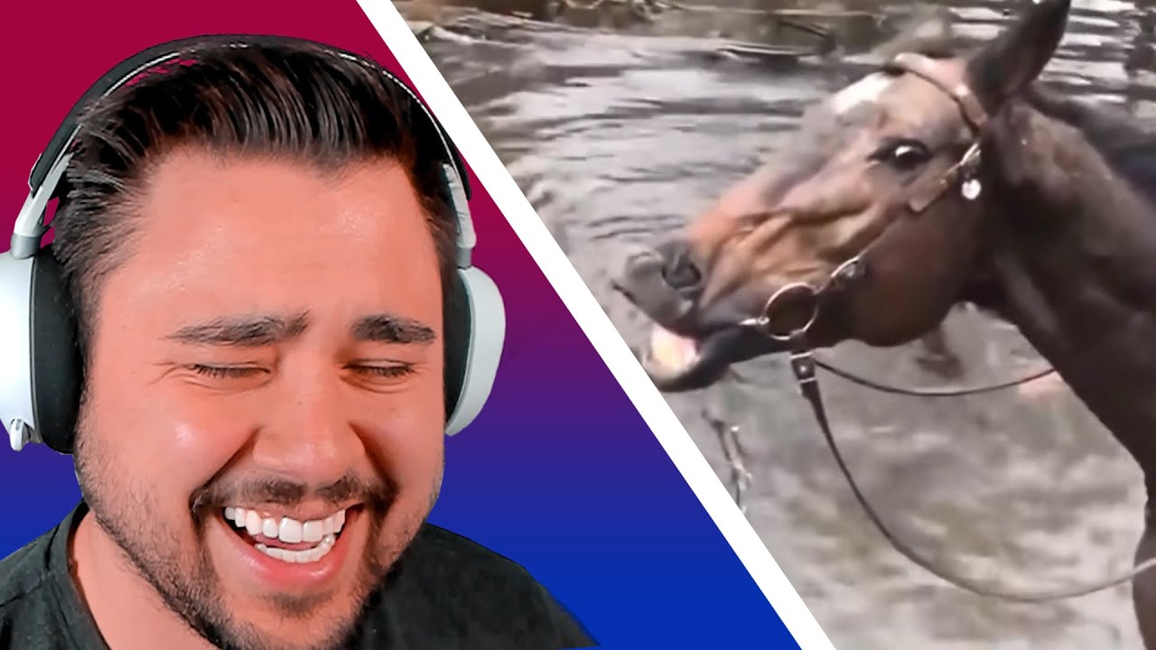 NICHT LACHEN CHALLENGE 3.0 | @Dennome  reagiert 👦🏽