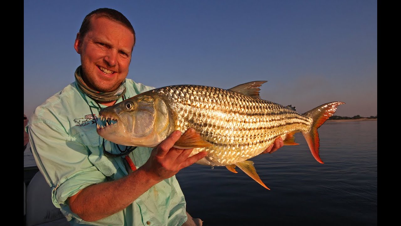 Tigerfishing - Upper Zambezi River - Zambia
