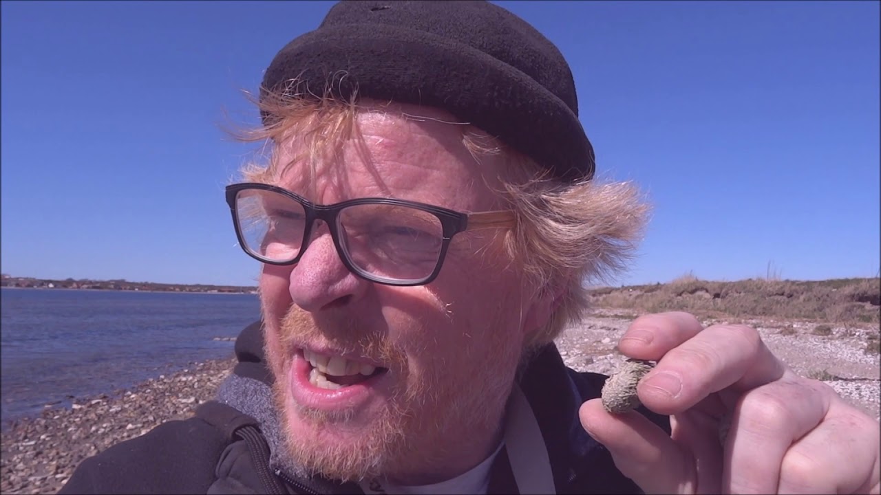 Henrik Madsen og søpindsvinene - del 1