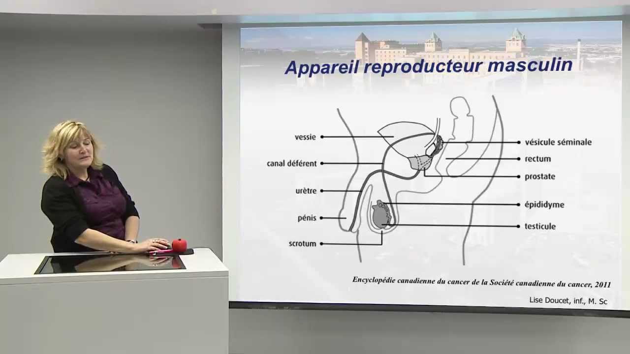 Cancer de la prostate: les g&eacute;n&eacute;ralit&eacute;s