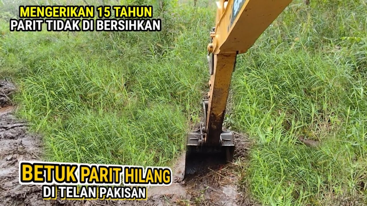 Edan.!!15 tahun tak tersentuh excavator Parit pun tak terlihat lagi tertutup rumput pakis pakisan