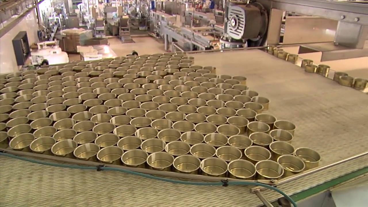 Tuna processing line