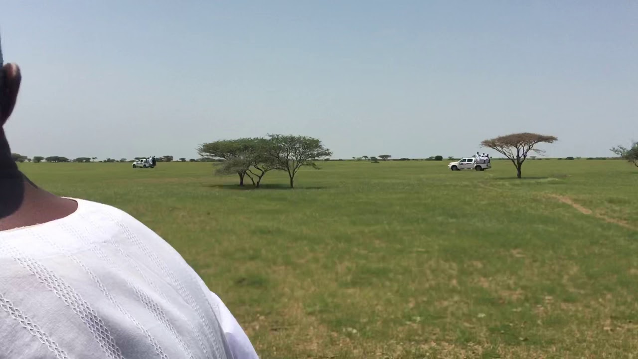 رحله أولاد الشيخ الطيب بطاحين الفعج  لجبل الابايتور في البطانه